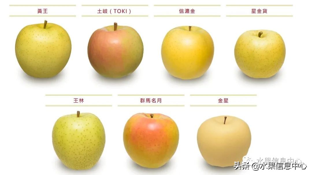 日本苹果为什么种的好？走进日本苹果第一大县“青森县”
