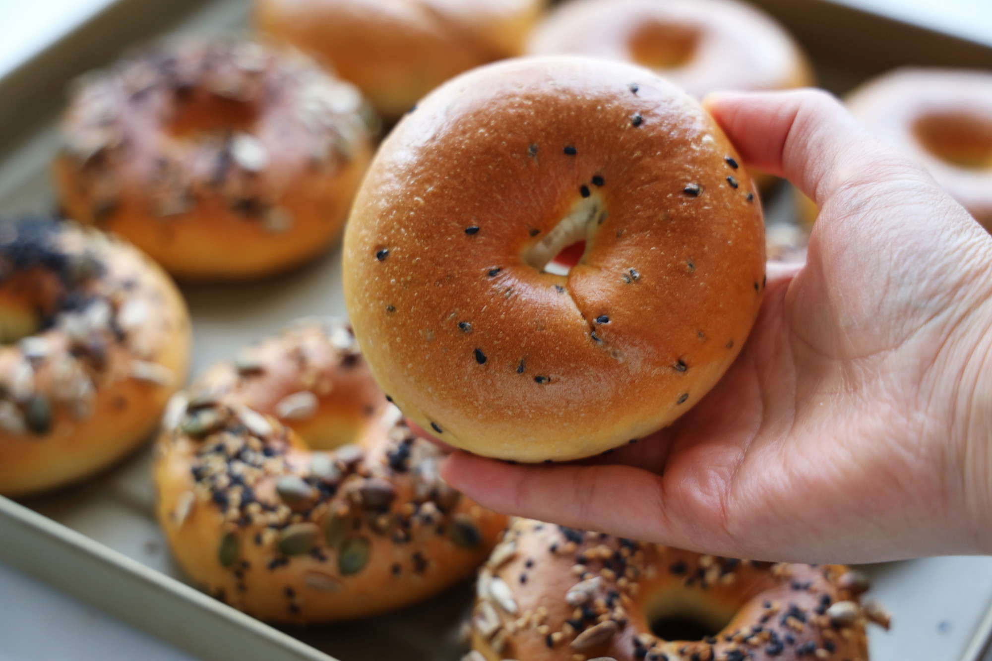 天氣涼了，懶人早餐備起來，提前一晚做好，早餐10分鐘搞定