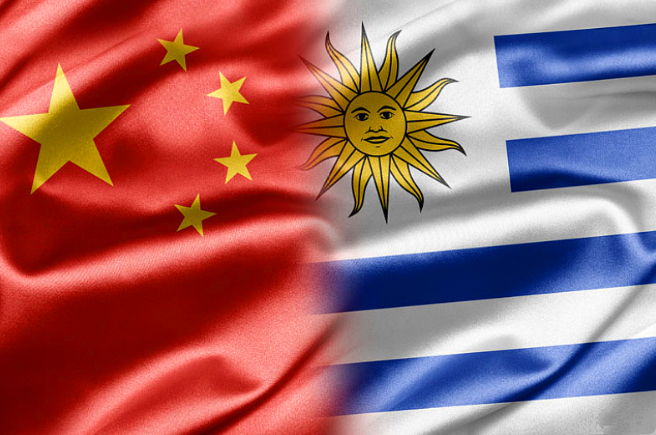 澳洲干瞪眼，中国已经另寻买家，同乌拉圭签署五万头活牛进口协议