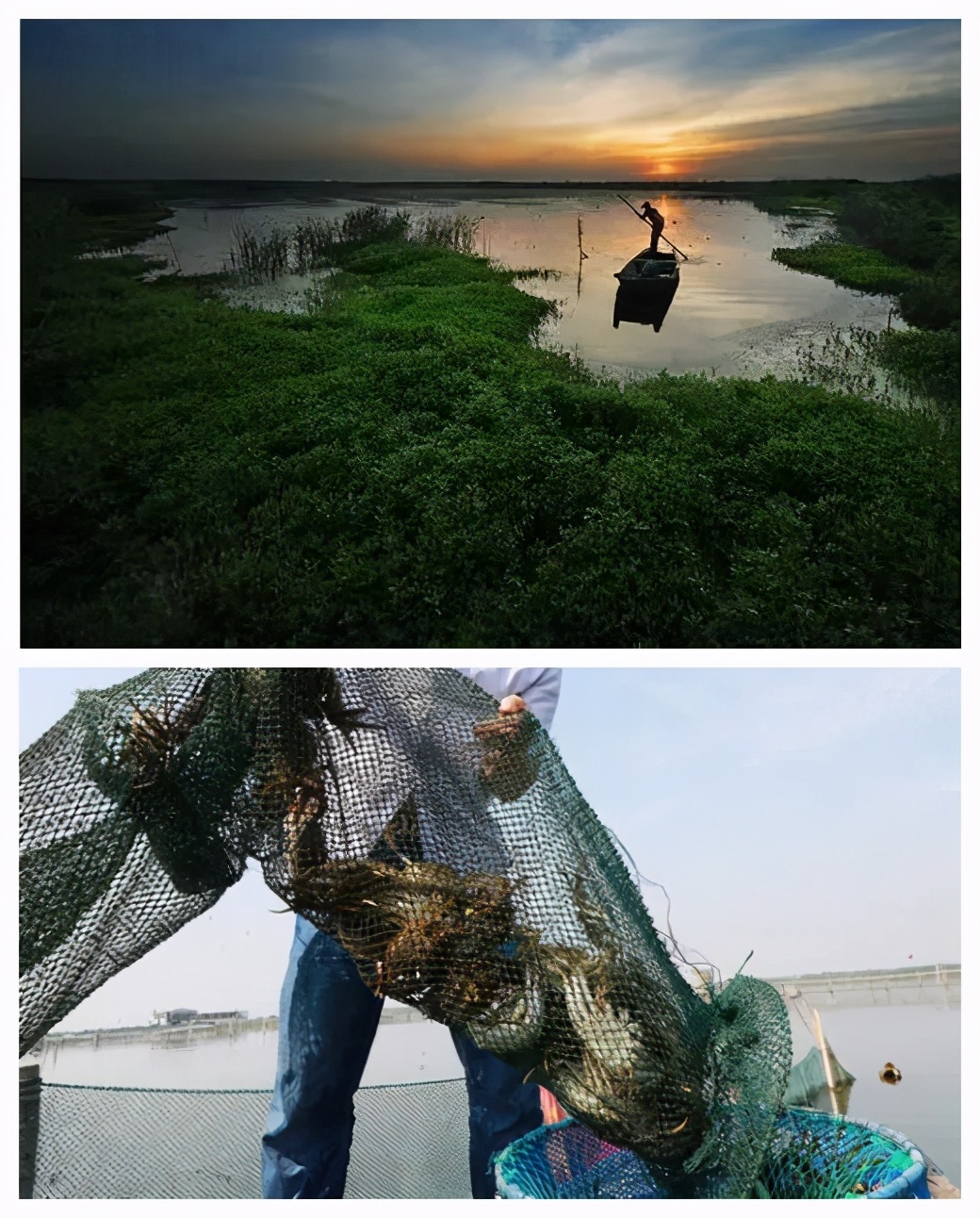 阳澄湖农家乐推荐，阳澄湖吃螃蟹的地方