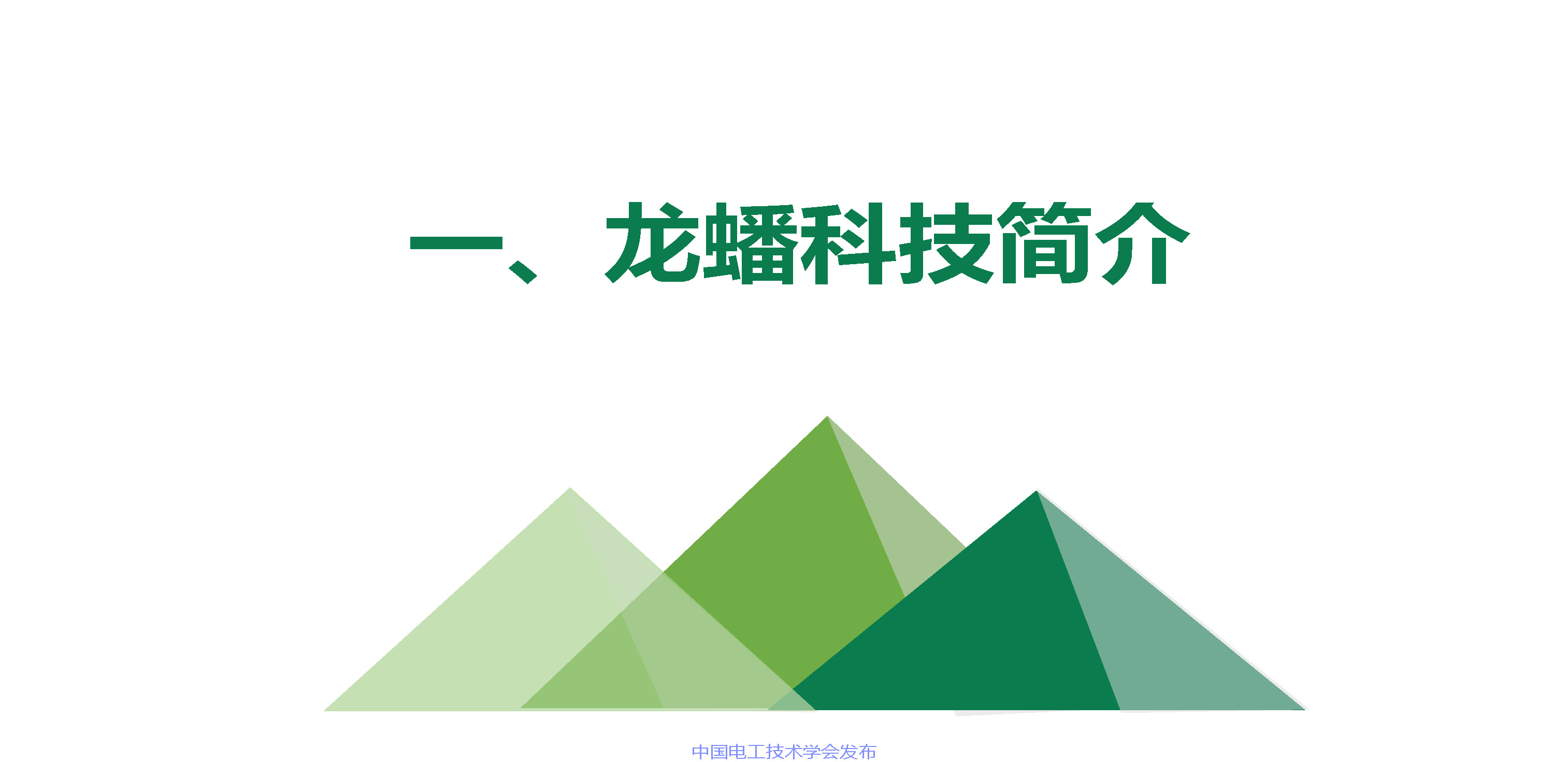 江苏龙蟠科技公司同步开发部总监刘金民：电动车润滑冷却解决方案