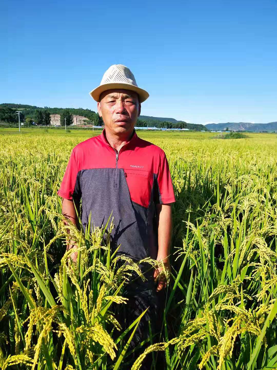 天然选择 天然健康——龙井市开山屯镇国山玉米种植家庭农场