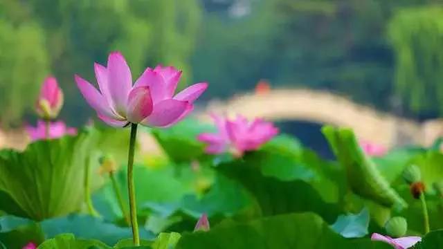 苏州中考物理卷出题老师，应该出来道个歉