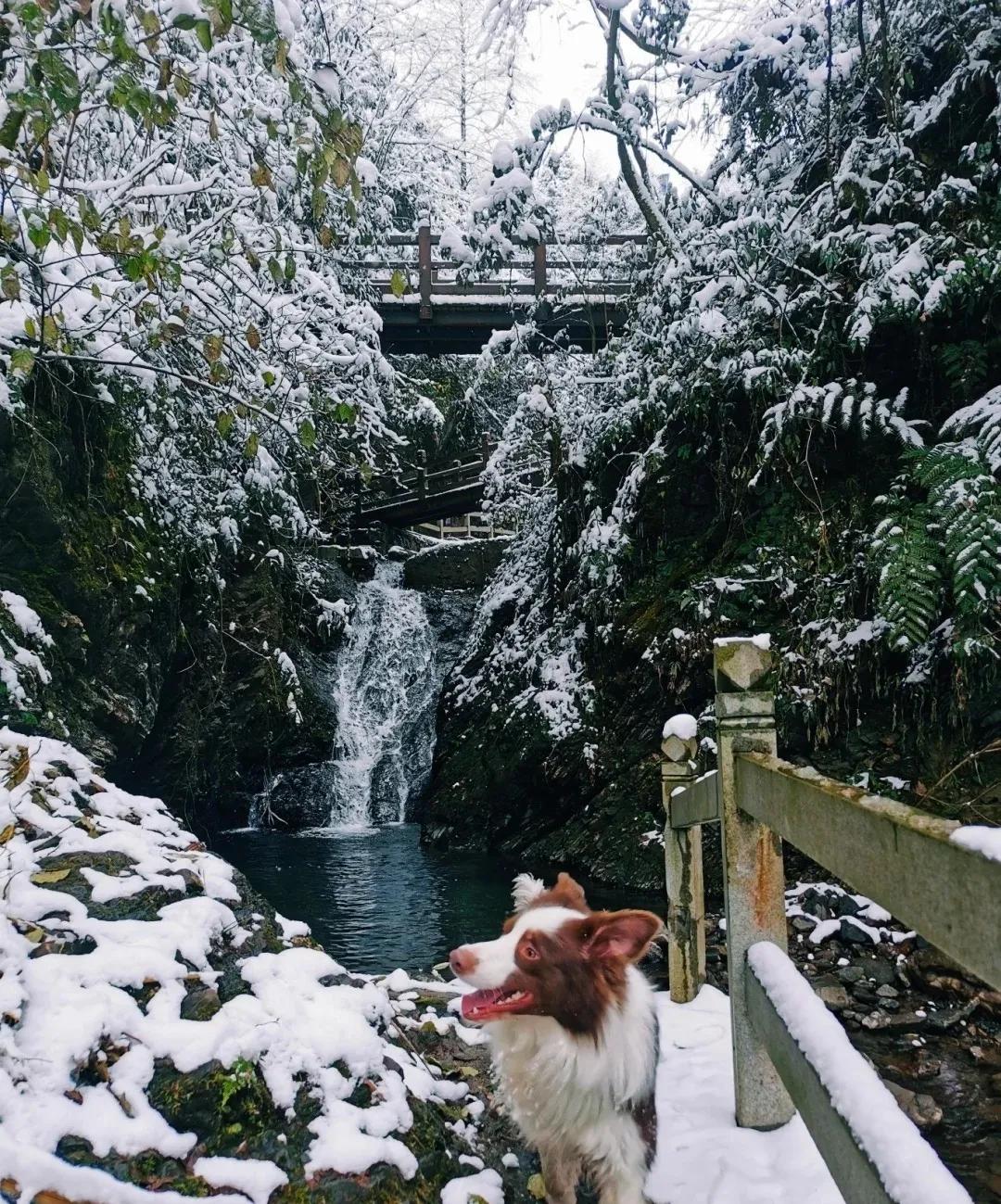 神瀑溝冰雪季等你來撒歡兒