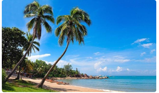 The number of northerners going to Hainan is getting lower and lower. Could Guangdong become the new favorite?