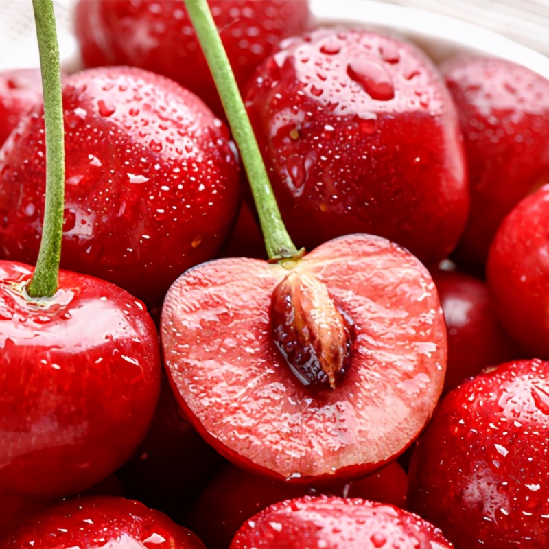 �ڶ����й�•�γ�ӣ����Ӫ������Ļ �γ�ӣ����������