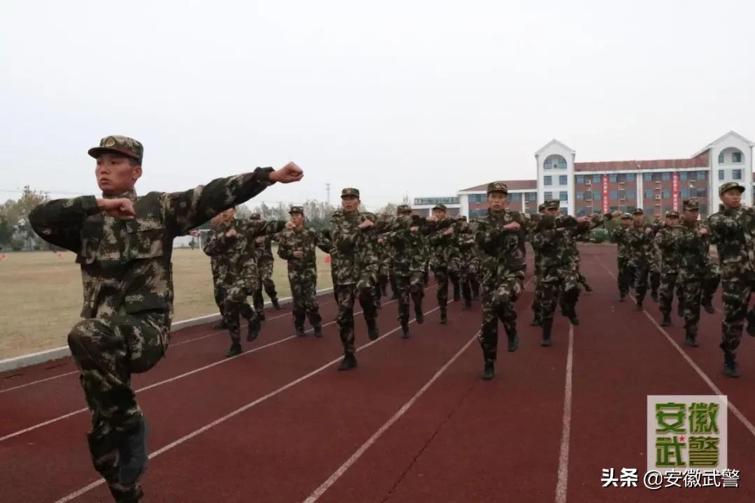 除了长得好看的，这些“专业的”也上交国家了！