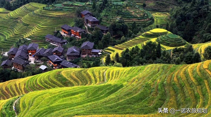 現(xiàn)代農(nóng)業(yè)園的發(fā)展模式有哪些？