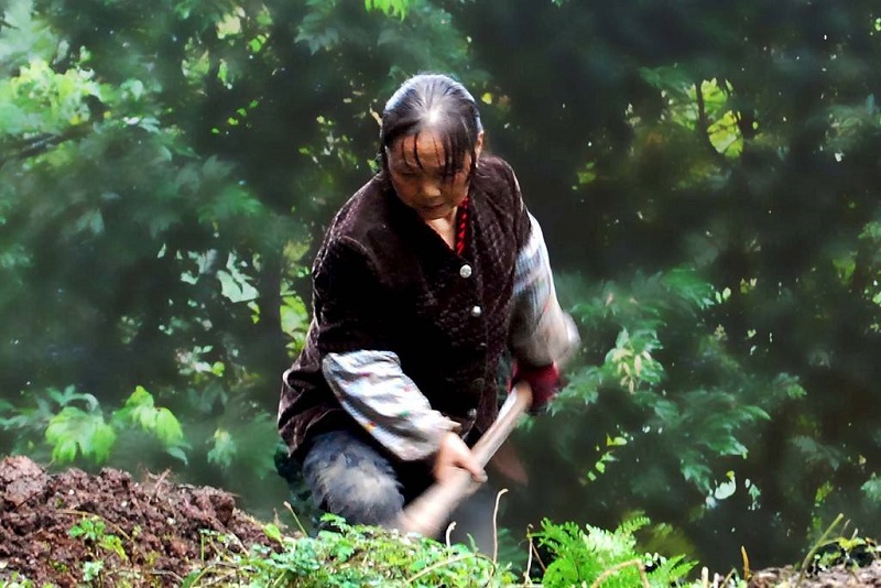 湖北一七旬农妇去世，28年后孙子收拾遗物，无意