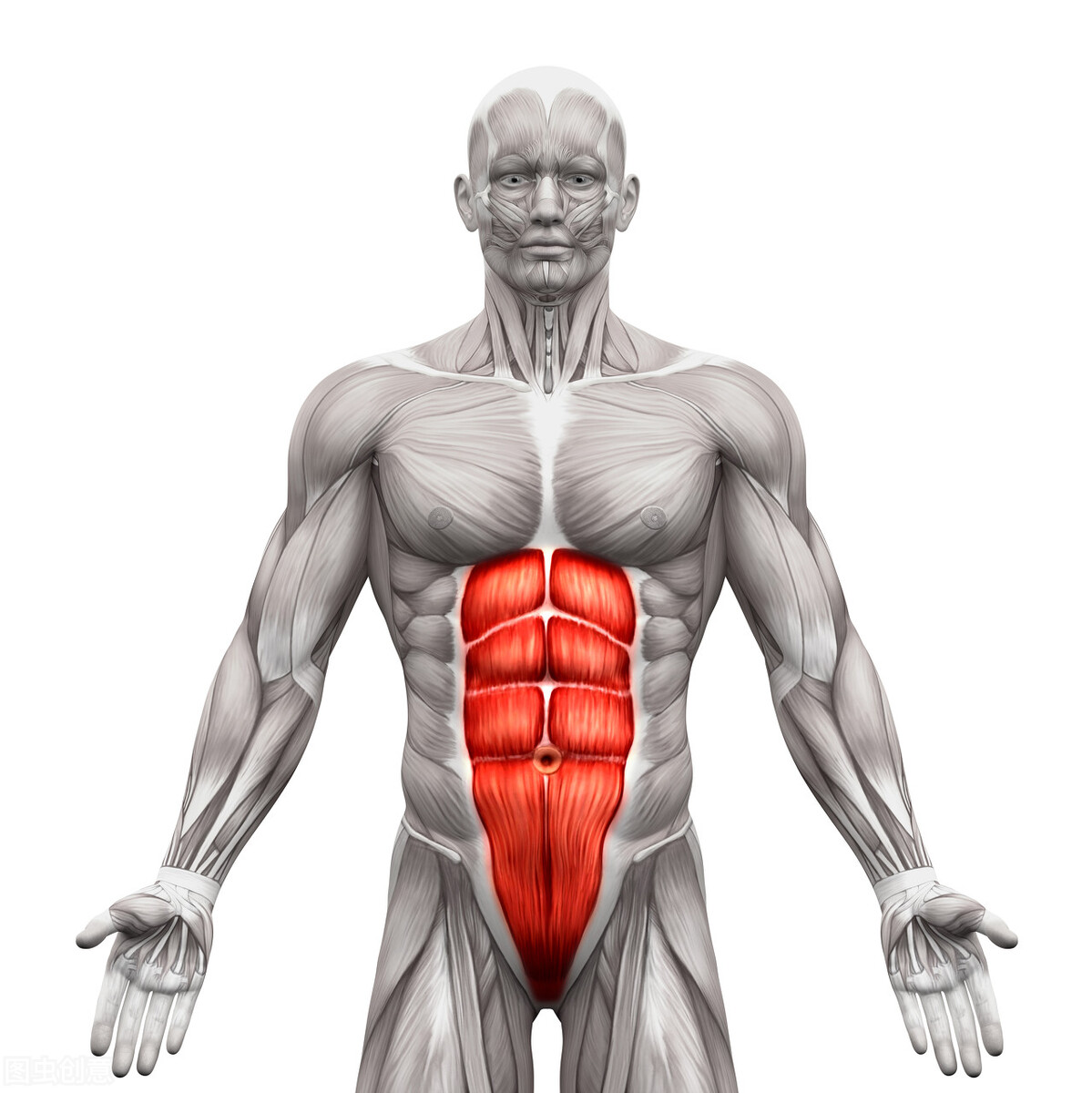 腹肌训练可以练出六块腹肌吗？怎么让腹肌更加凸显？