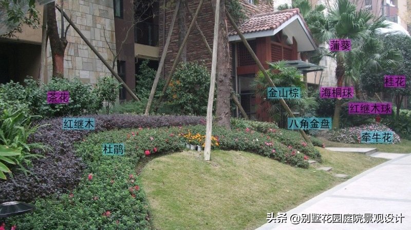 別墅庭院常用植物分享，附照片及名字標(biāo)注（珍藏版）