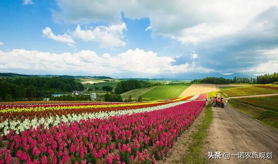 乡村振兴：农用地转为建设用地如何审批？