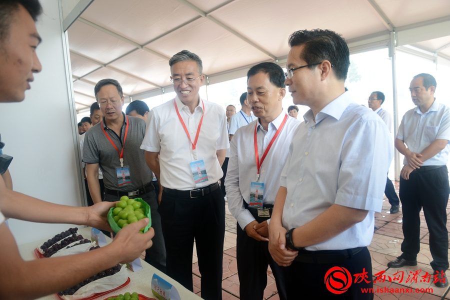 渭南•合陽消費扶貧 暨農產品加工投資貿易洽談會在合陽成功舉辦（組圖）