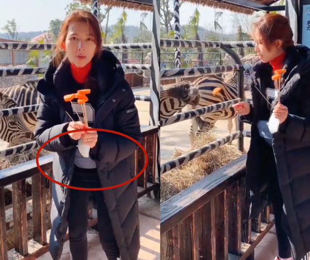 蔡少芬带娃出游，与两女儿开心喂斑马，乐儿长成mini版张晋