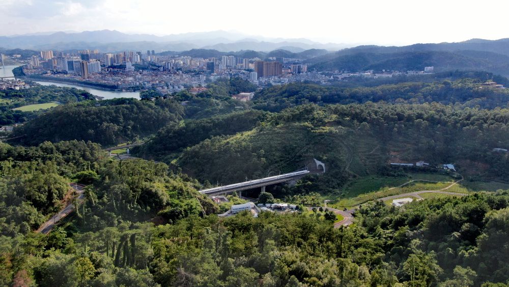 十四五第一年，百色市民期待百兴高铁早日开建 十四,四五,第一,一年,百色