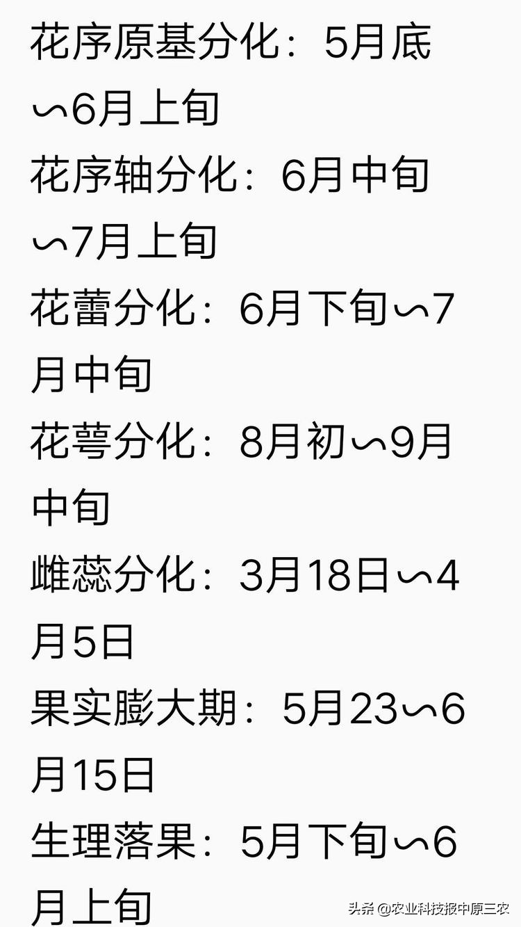 掌握好花椒生长初果盛果和衰老四个阶段，生长可达40年