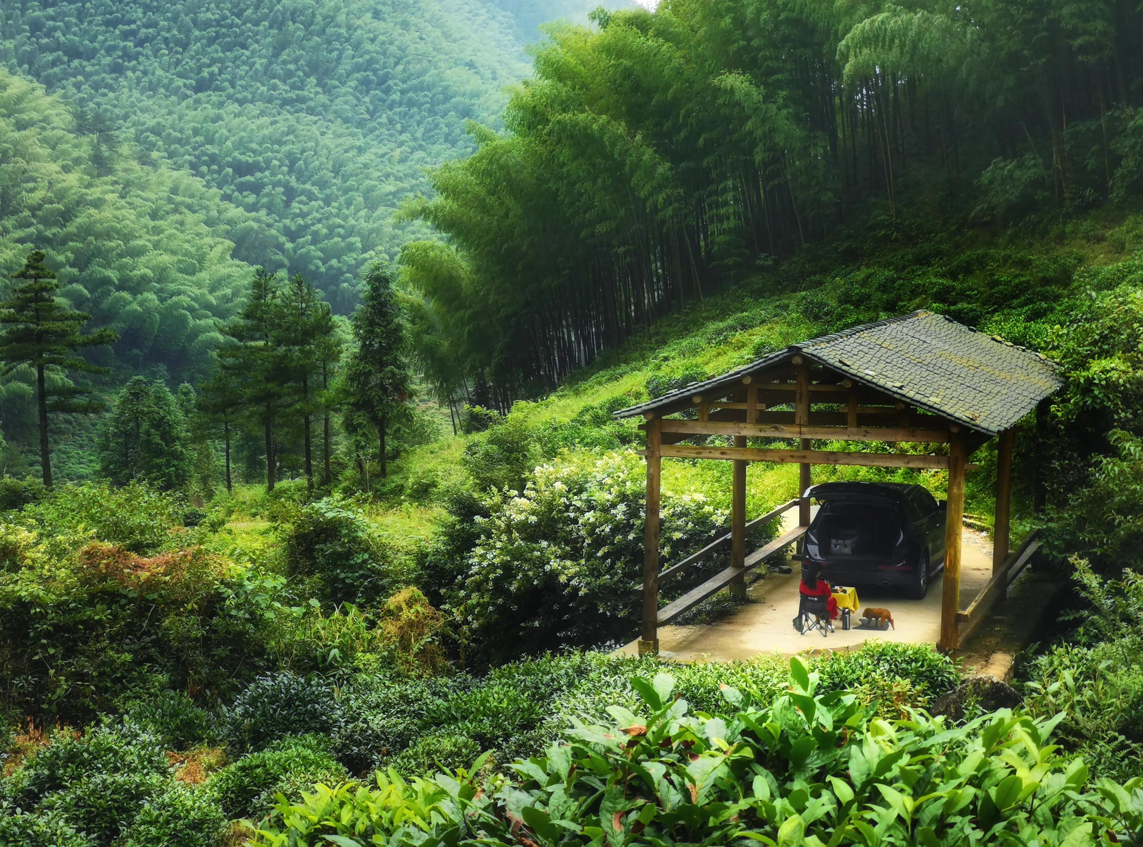 夏天去婺源：920米鄣山村避暑，13公里密林穿越，雨天看卧龙美景