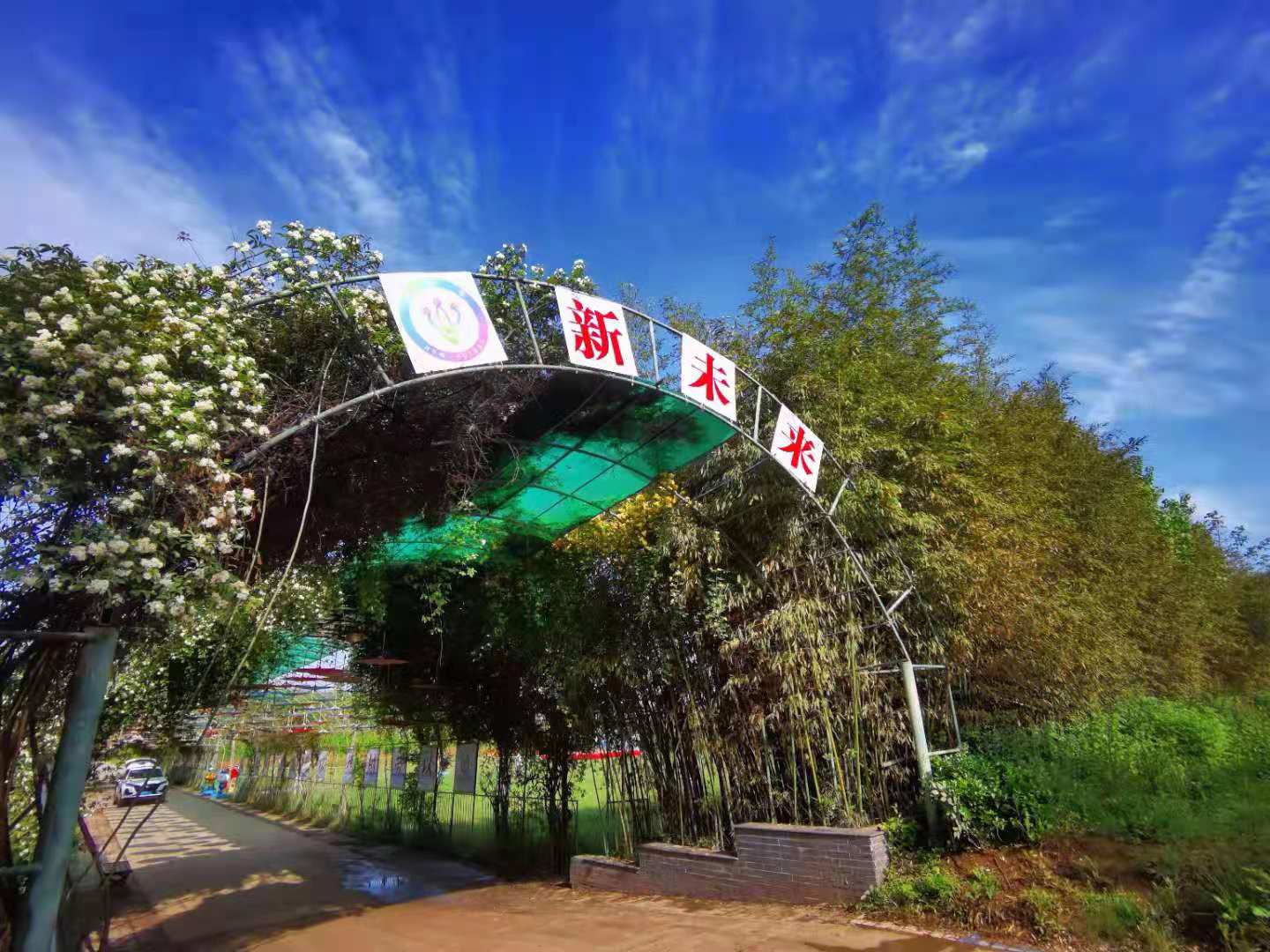 �ԷǷ��¾�ƽ������δ��Ϊ����ʦ������3000Ķ��ѧ���Ͷ���������