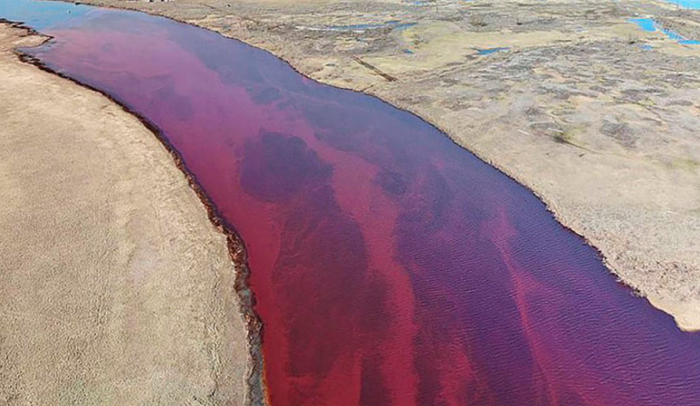 史无前例成家常便饭！2020年到底有多魔幻？