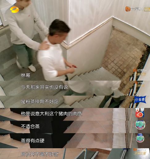 上厕所时被星探发现的王俊凯：要成为树一样的