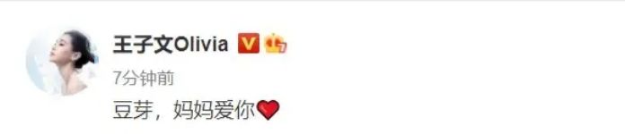 王子文为何要选在贾乃亮主持盛典时宣布私生子