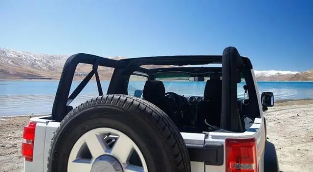 国内公认的5款油老虎车型，买车要慎重，第4款月