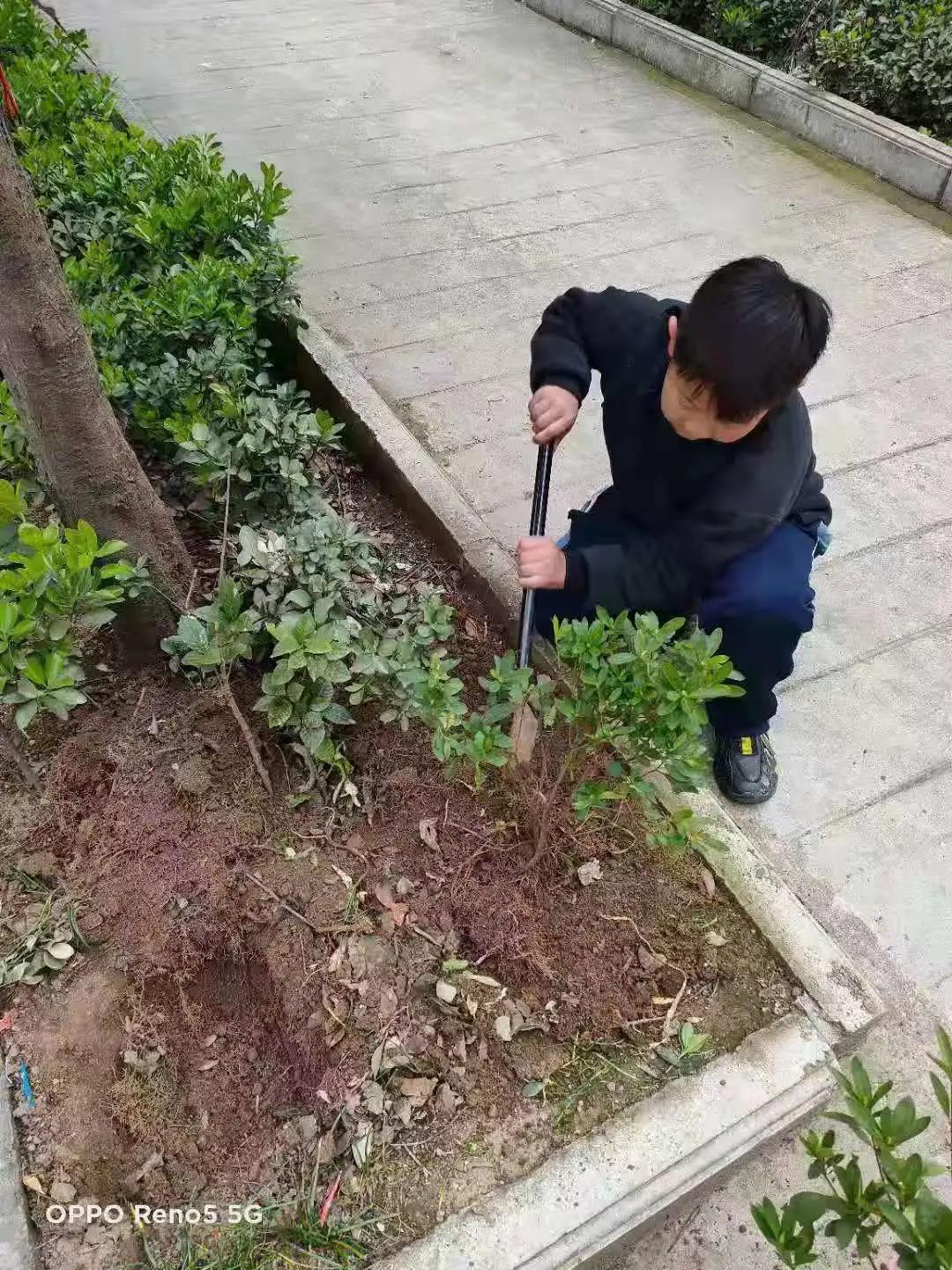 ��֮��.ֲ�̻���--�����еھ�Сѧֲ���ڻ��Ӱ