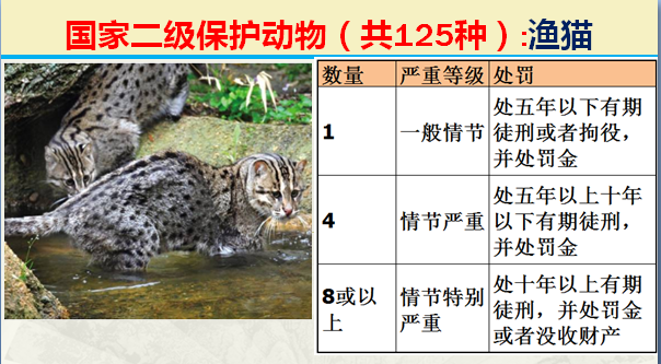 国家最新125类二级野生保护名录，图片及违法对应刑责