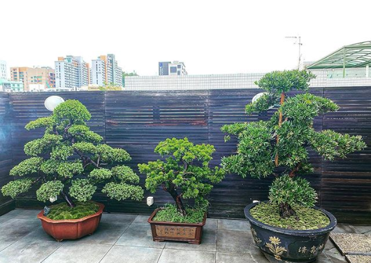 郭碧婷怀孕了？网疯传向佐脱口「新成员」结果