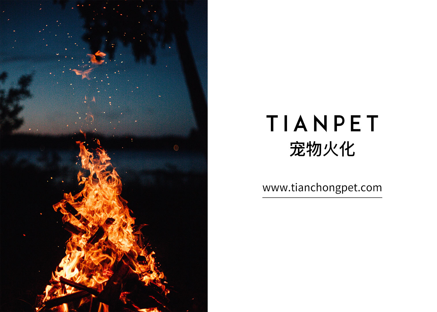 宁波哪里有宠物火化服务？｜TIANPET天宠 给它上天般的宠爱