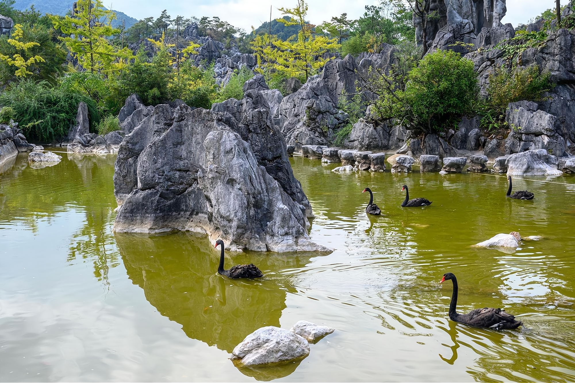 It is one of the four largest stone forests in China. It is as famous as the Yunnan Stone Forest and is known as "the first stone forest in East China"
