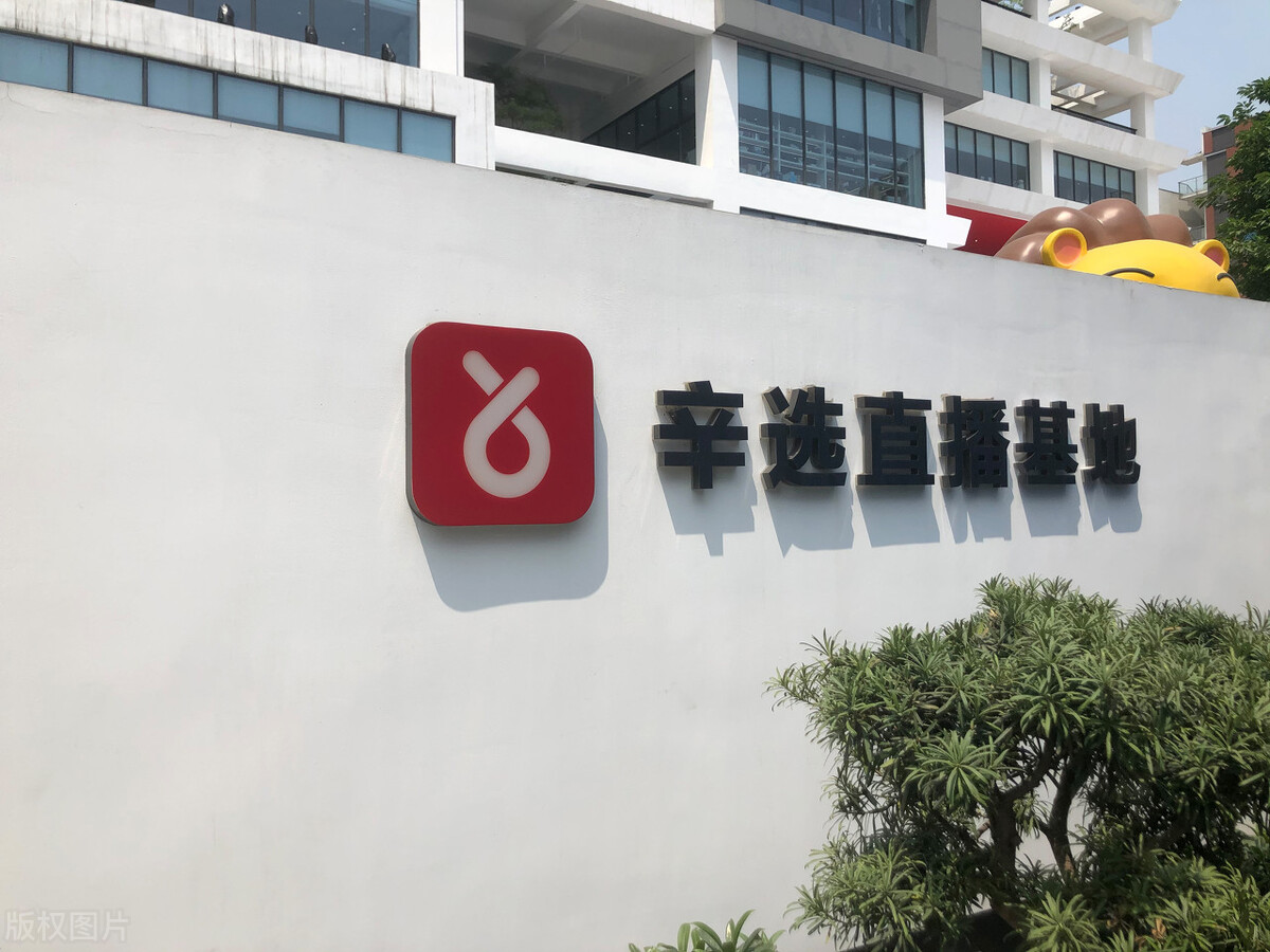 辛巴又摊上事了，人民网公开批评，快手必须早做准备