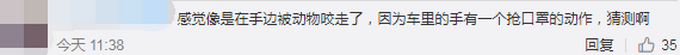 动物园|北京野生动物园游客疑喂动物口罩 被及时制止