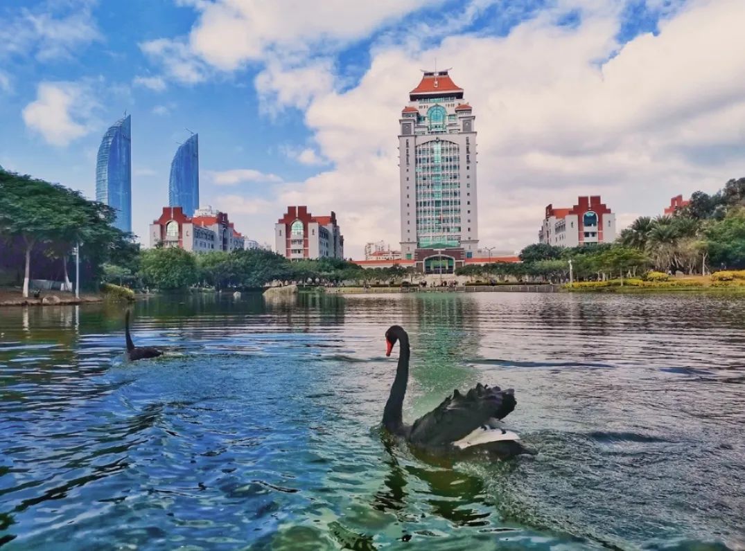 这些大学太美了！网友哭着想重回高考，你最喜欢哪一个？