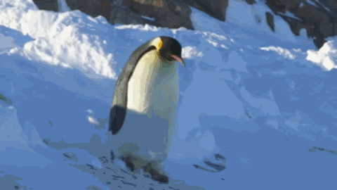 车贷“一哥”微贷网被立案侦查！投资者们，还