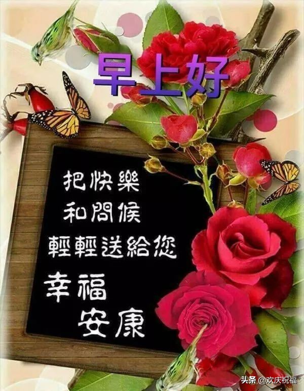 早上好图片大全 最新图片图片