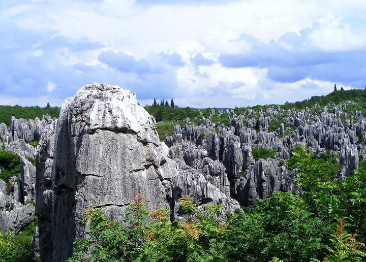 “花千骨”取景地，可媲美昆明石林，1500亩景区收10元门票