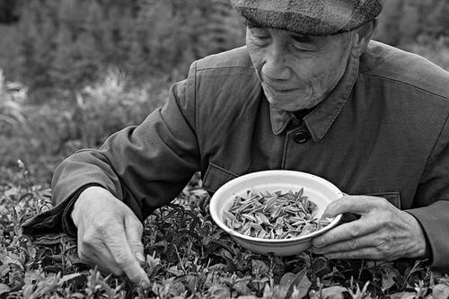 1951�꣬һλ��ũָ��ë��ϯ��ɫФ���վ����������ҵı�