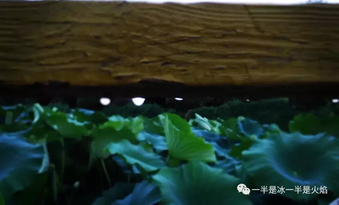 散文诗：喜欢雨，是一直以来的事-第5张图片-诗句网