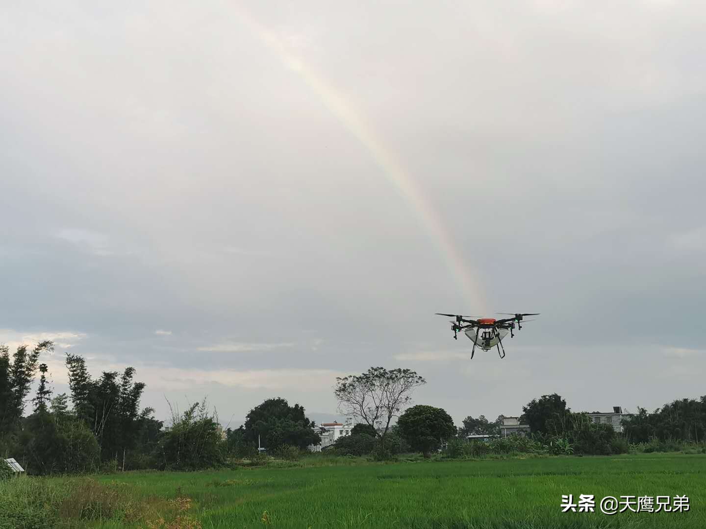 农业部公布17种一类作物病虫害，如何防治？