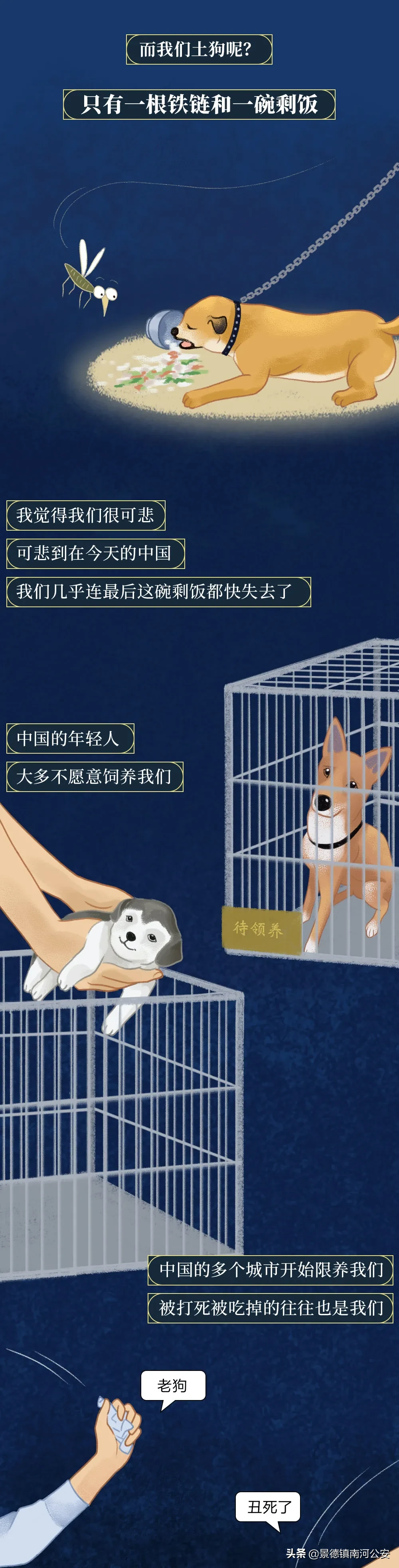 你凭什么看不起中国土狗？