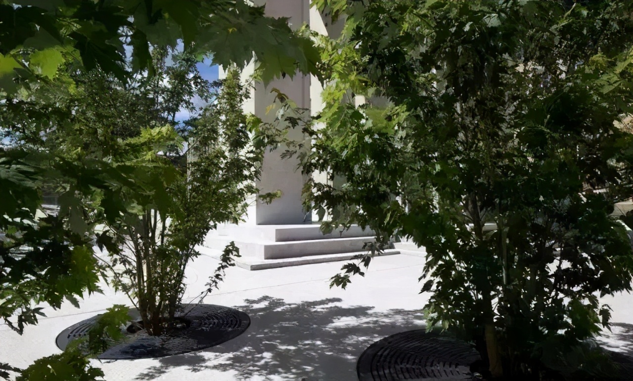 见过那么多树池,这些设计技巧你都知道吗?