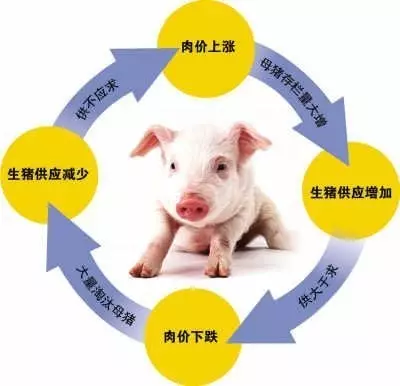 猪价连降，拐点将至？