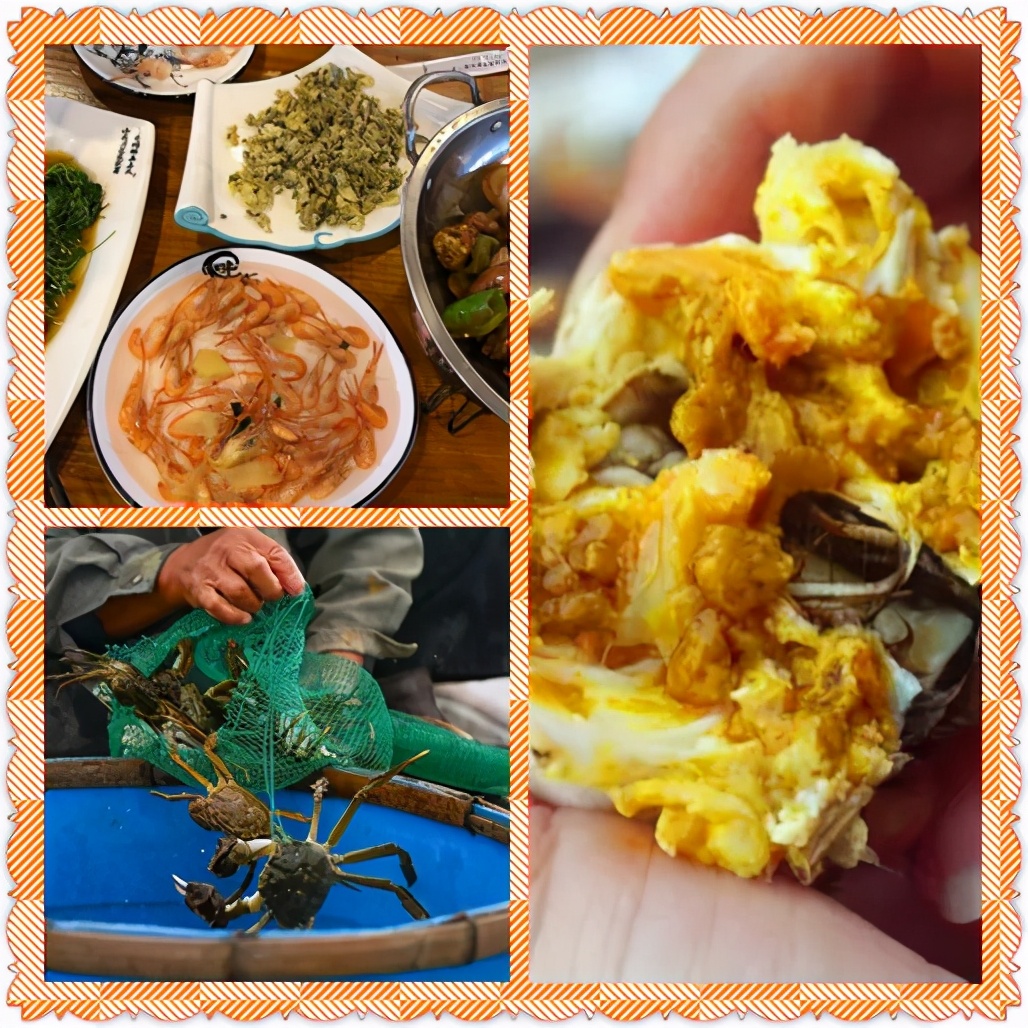 苏州阳澄湖吃大闸蟹的地方在哪里