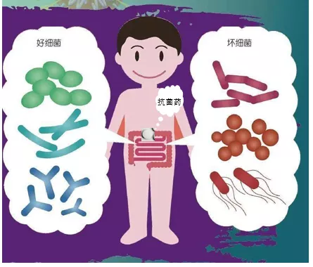 常用腹泻药弄错服用顺序,小心药效打“骨折”【浦东医生话养生】