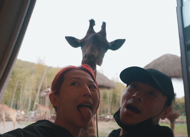 張晉曬一家五口幸福出遊，蔡少芬再現坑娃日常，兒子被嚇到大哭