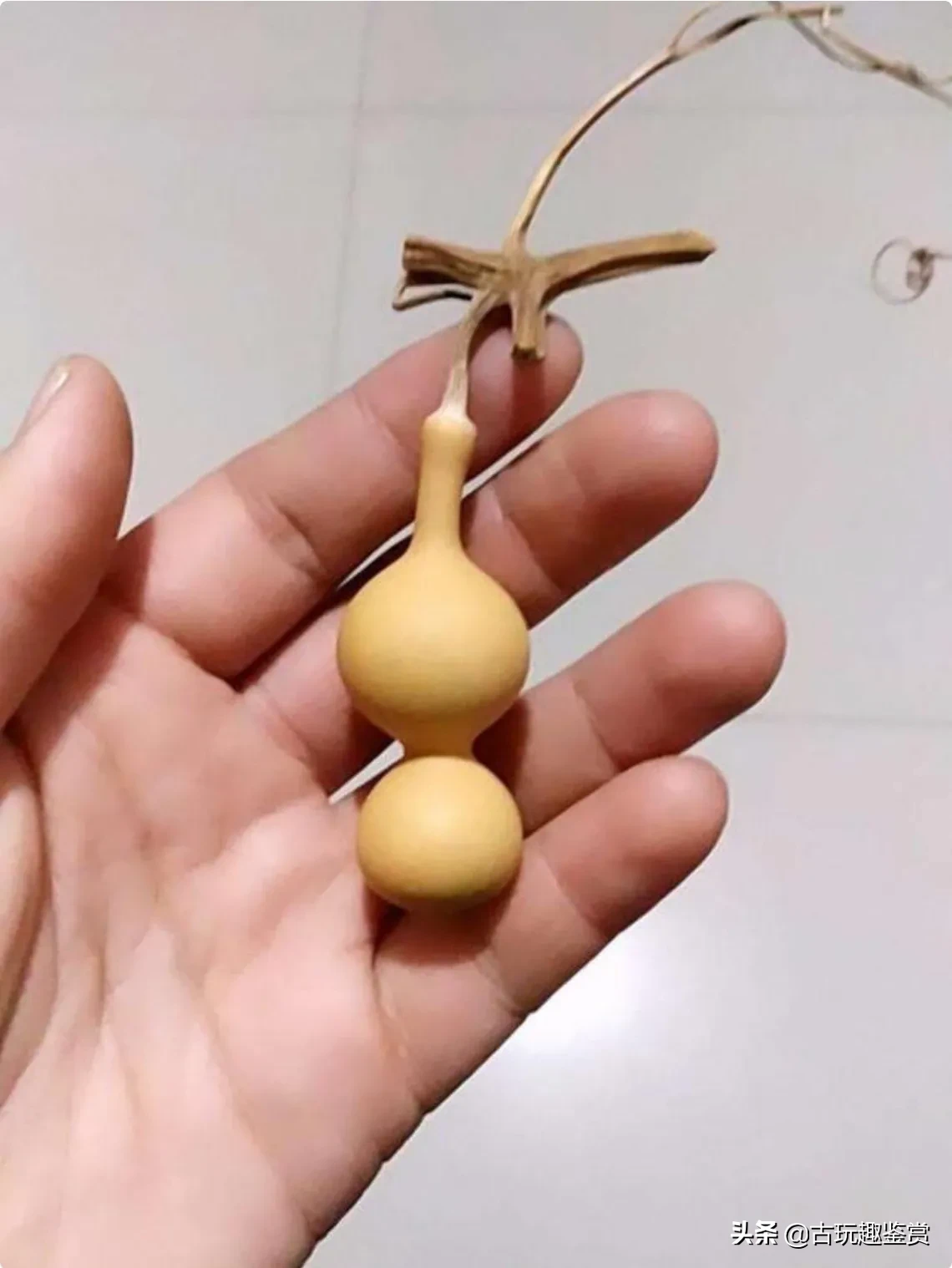 文玩圈惊现“天价葫芦”，是普通文玩葫芦的100倍，尺寸只有2厘米