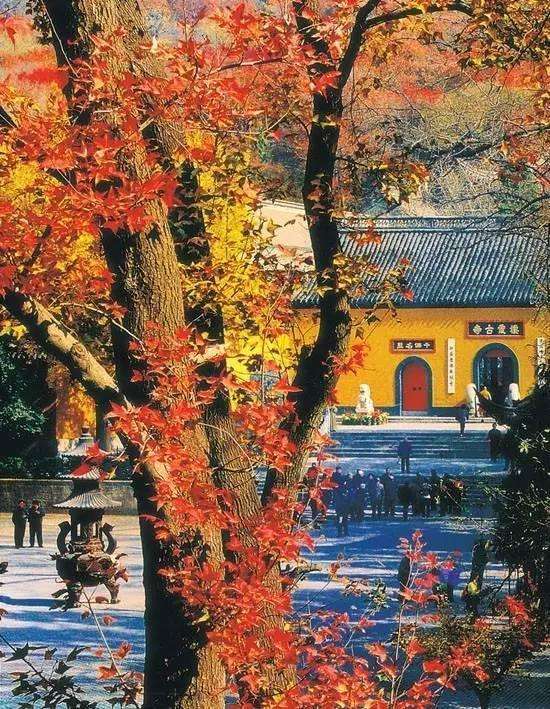 大美中国开启秋日幸福游，这些最适合赏枫叶的地方，你去过几个？