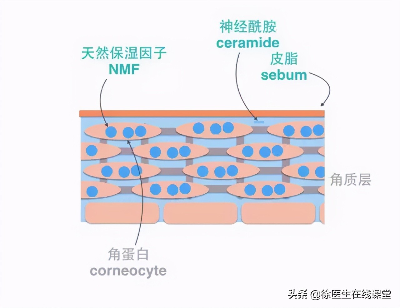 甲钴胺修复神经效果好，这3种病也可以用，但长期吃也有副作用