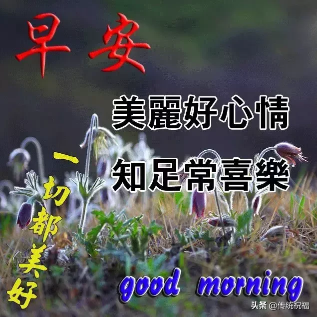 朋友们早上好祝福语图片合集 早上好新版漂亮的表情包图片
